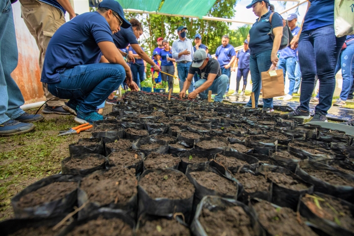 En preparación para gran reforestación nacional 2023: Tigo Panamá funda vivero ANCON con 1000 plantones