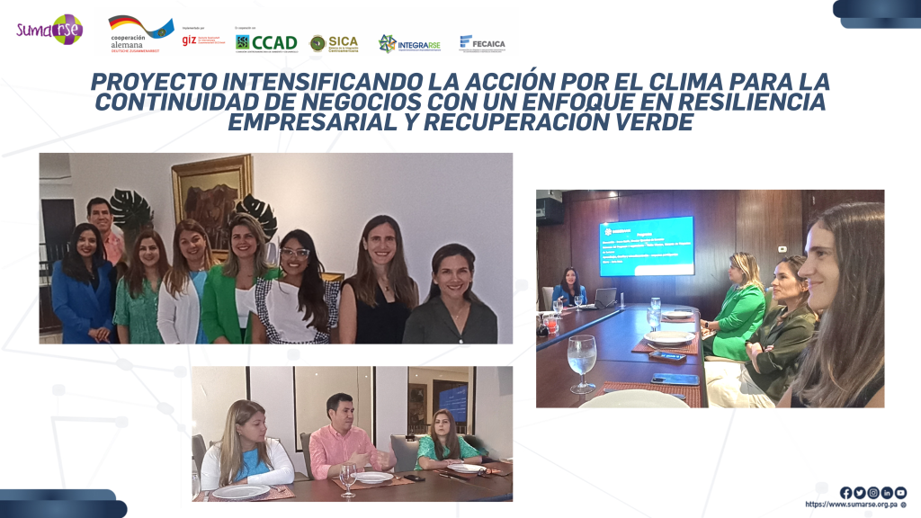 Proyecto Intensificando la acción por el clima para la continuidad de negocios con un enfoque en resiliencia empresarial y recuperación verde de las consecuencias de COVID-19