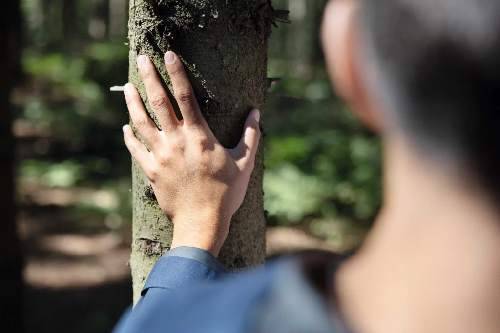 Tetra Pak impulsa el consumo responsable con envases FSC™ en la Semana de los Bosques