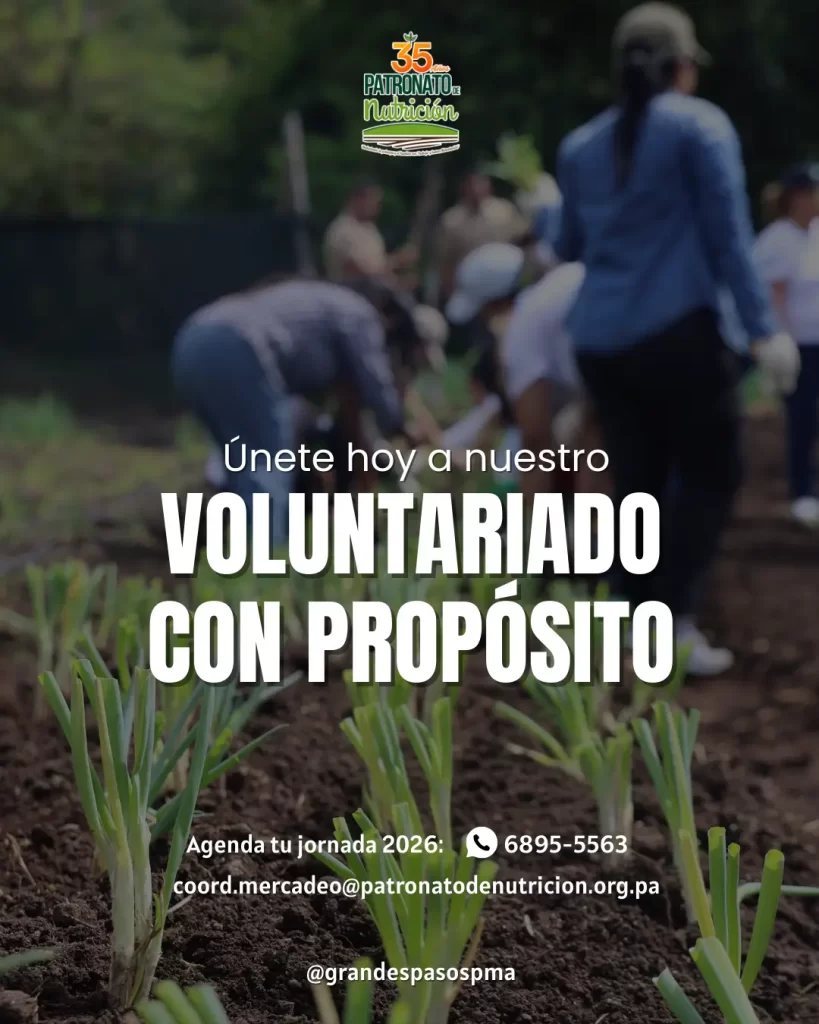 Agenda abierta: Jornadas de Voluntariado 2026